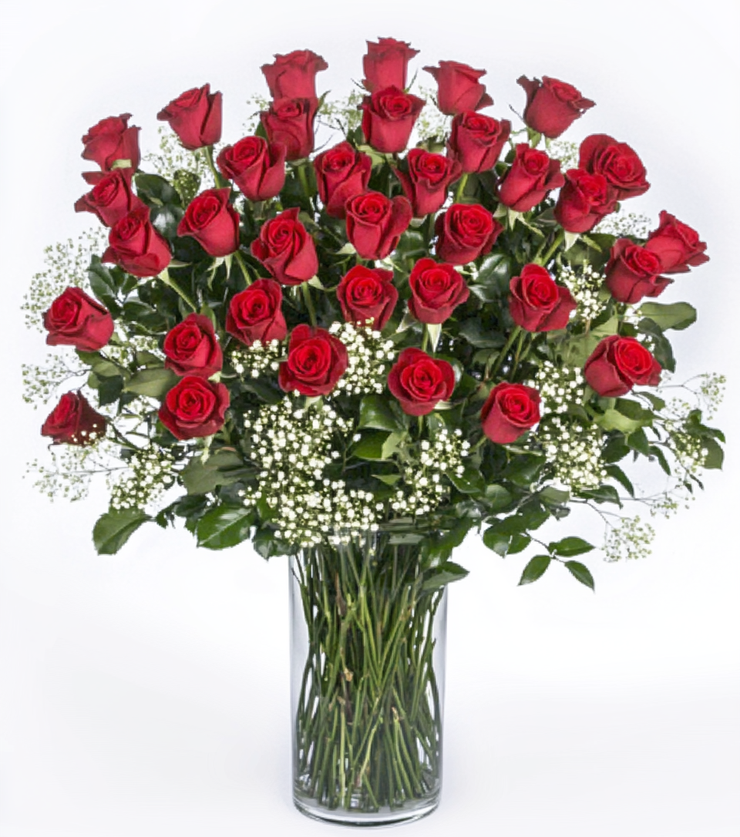 5 Dozen Roses VIP!