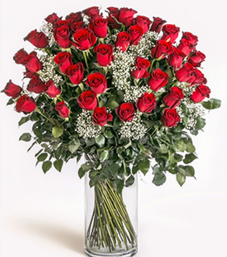 5 Dozen Roses VIP!