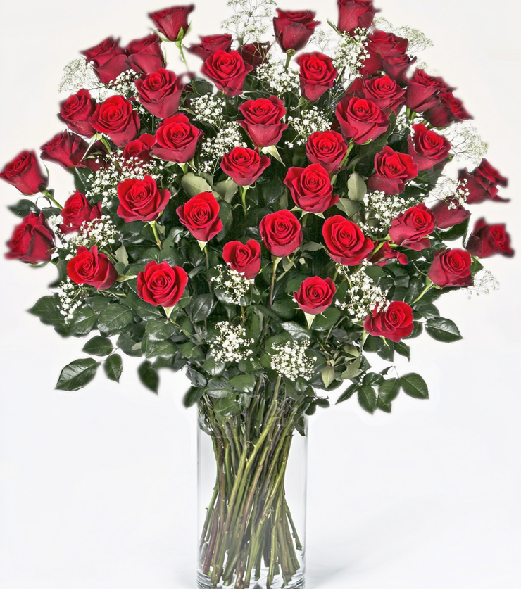 5 Dozen Roses VIP!