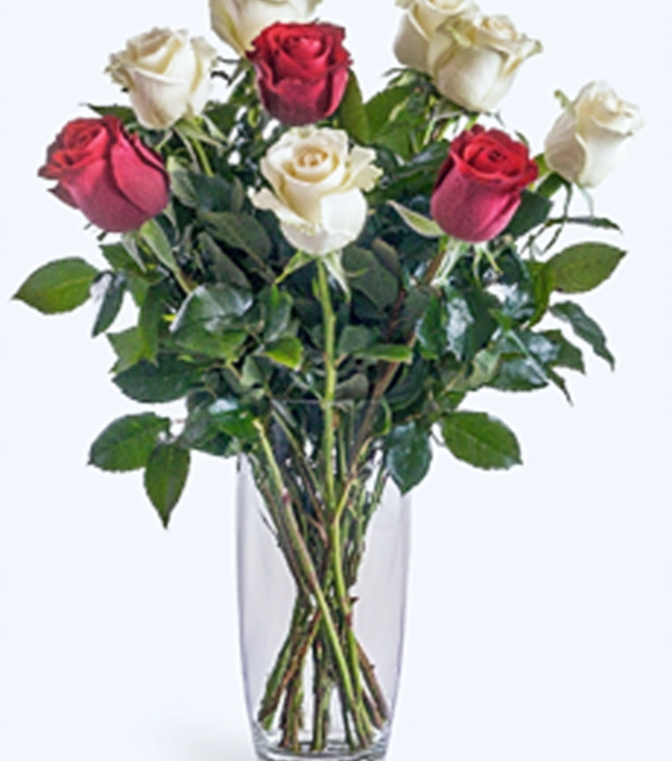 6 White Rose Medley