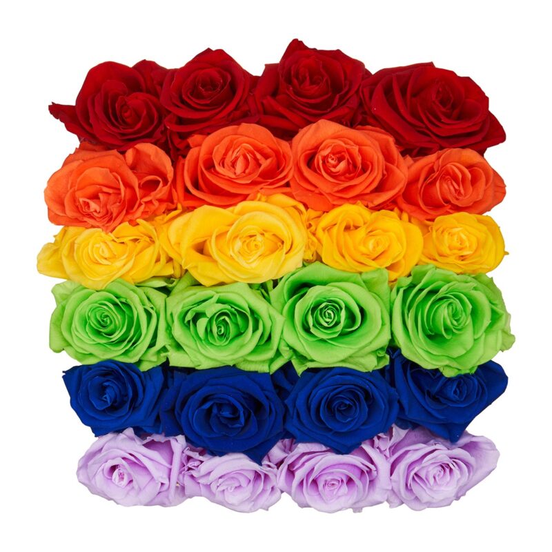 Montagé Square Rainbow Ombre Preserved Roses