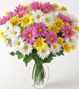 Assorted Daisies