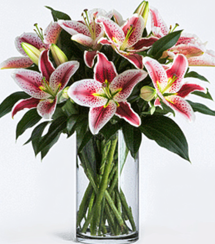 Birthday lily surprise