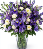 Blue Iris