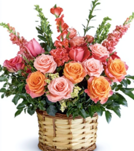 Enchanted Rose