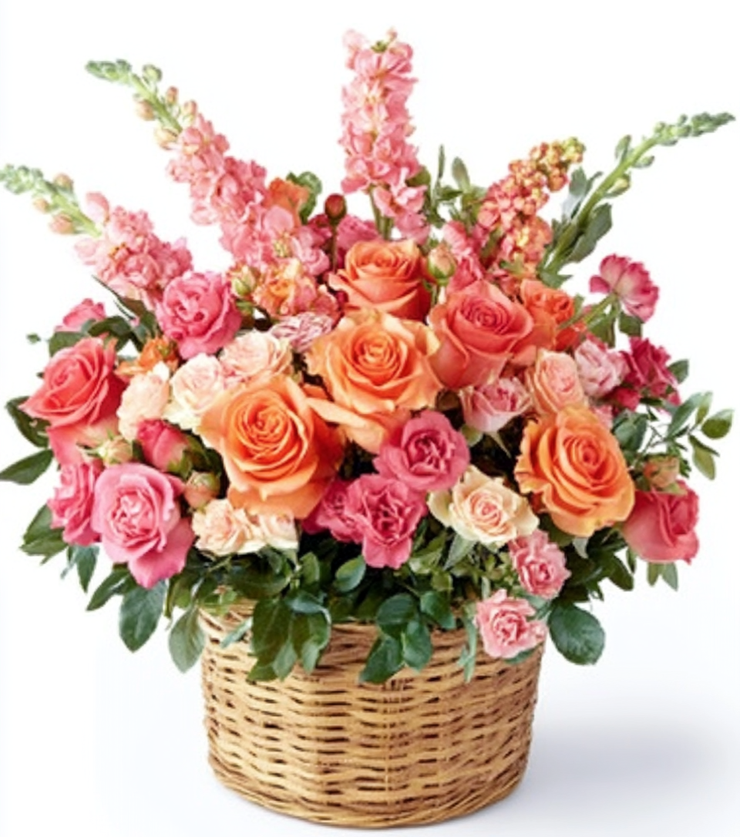 Enchanted Rose