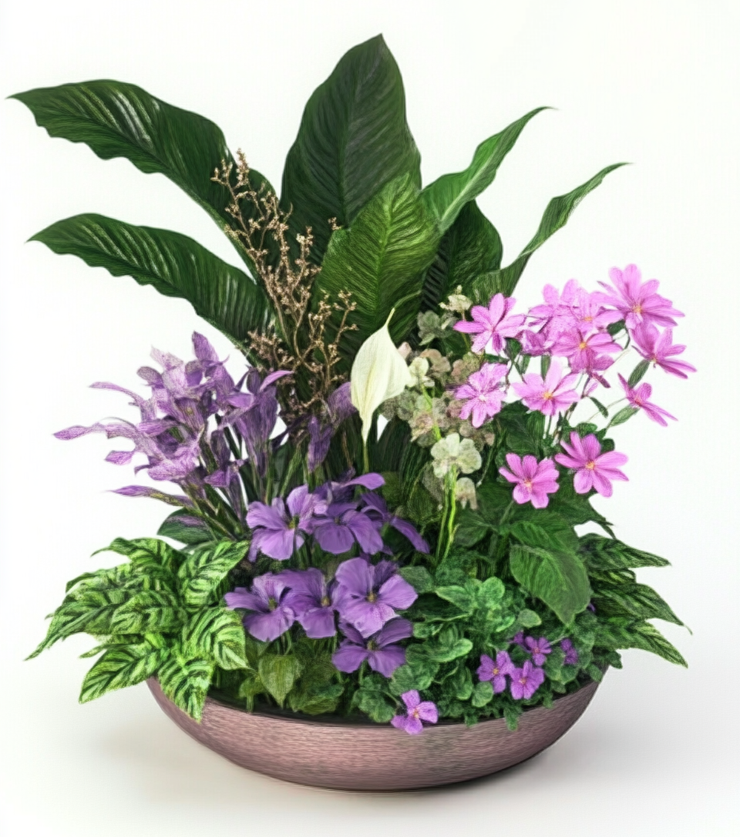 Exotic Flora