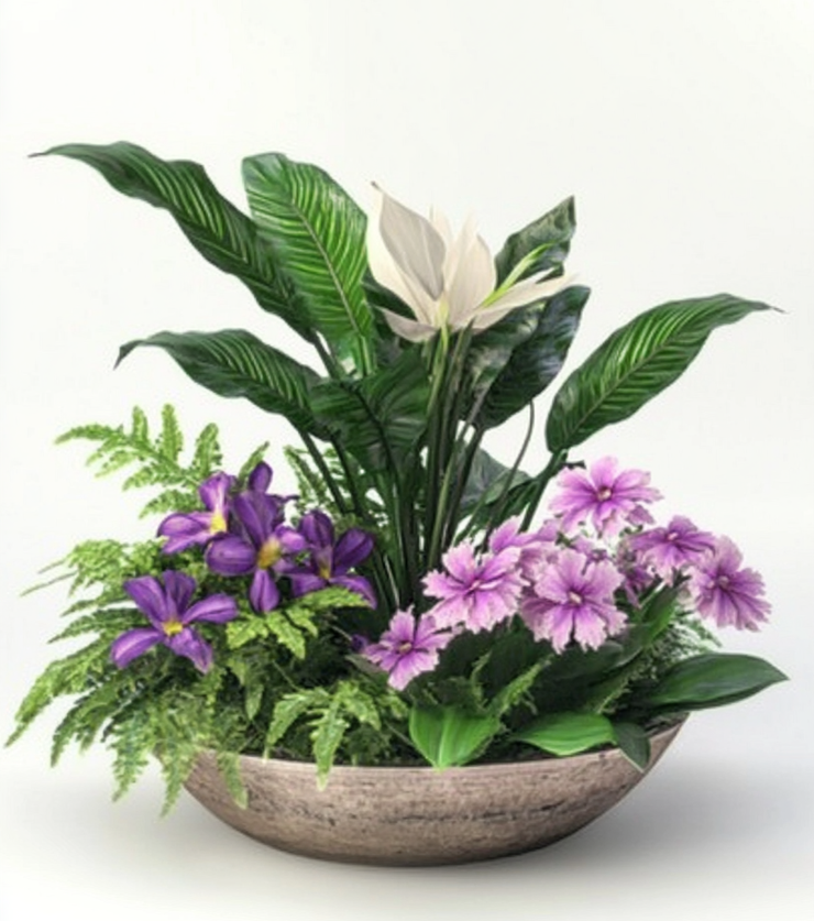 Exotic Flora