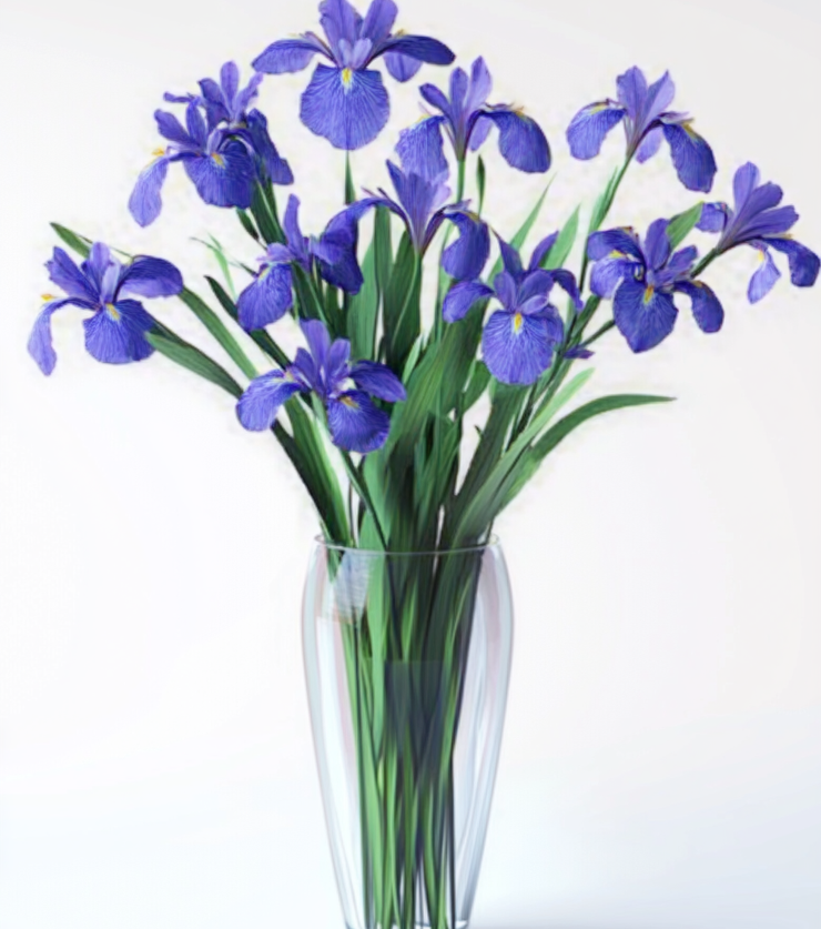 Faith Iris Bouquet