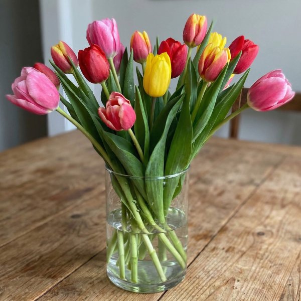 Sweet Spring Tulip Bouquet
