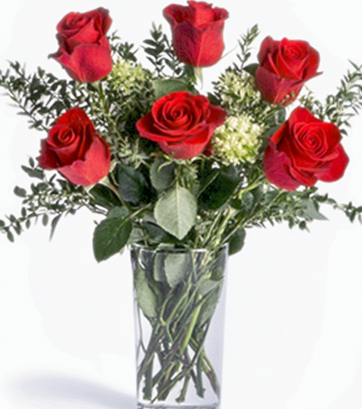 Love Story Roses