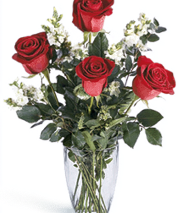 Love Story Roses