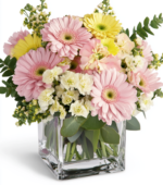 Perfectly Pink Blooms