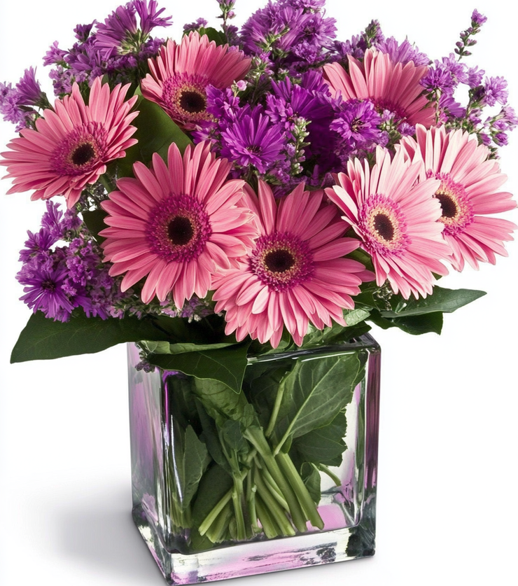 Pink and Purple