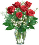 Radiant Roses