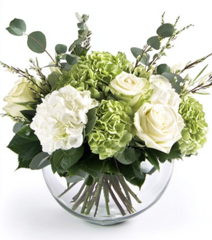 Radiant Blooms