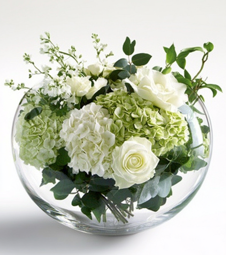 Radiant Blooms