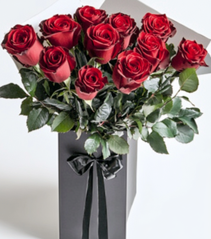 Royal Roses