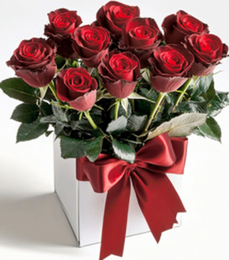 Royal Roses
