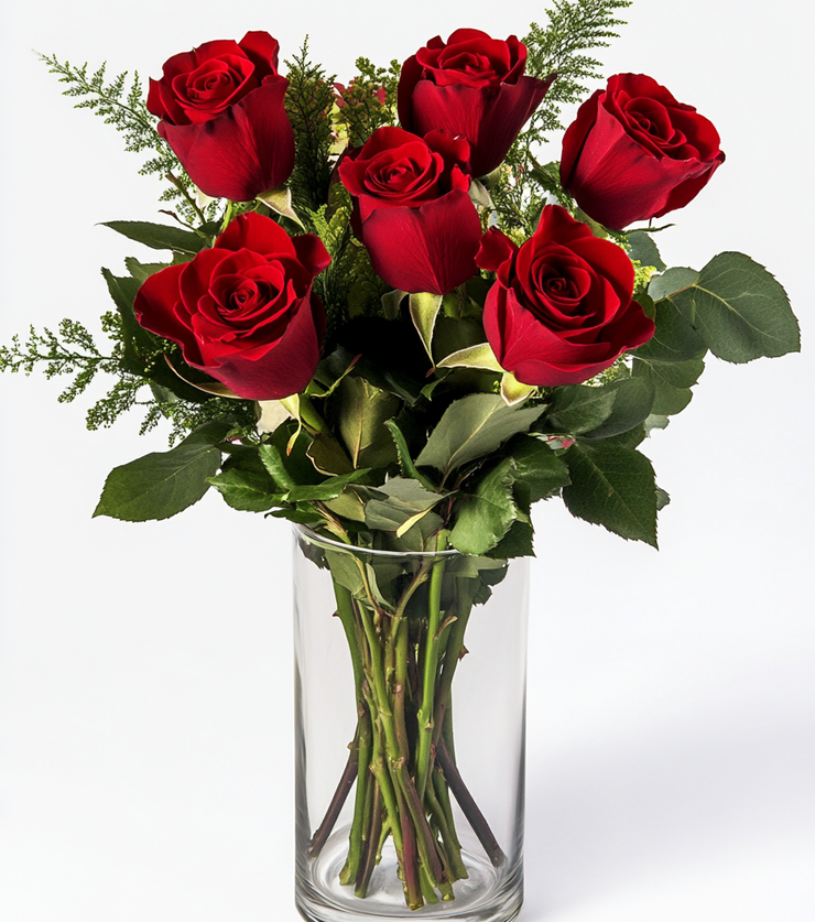 Six Richly Red Roses