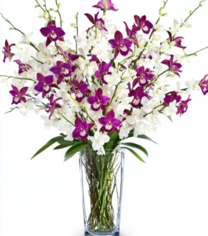Tropical Birthday Flowers