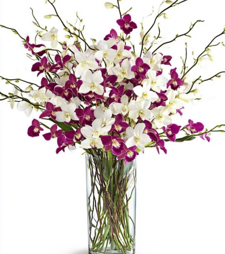 Tropical Birthday Flowers