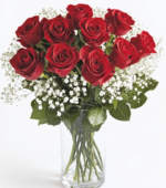Twelve red roses