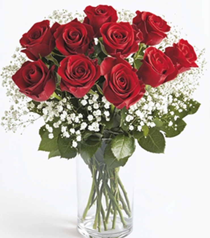 Twelve red roses