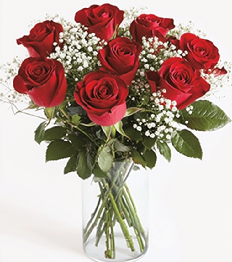 Twelve red roses