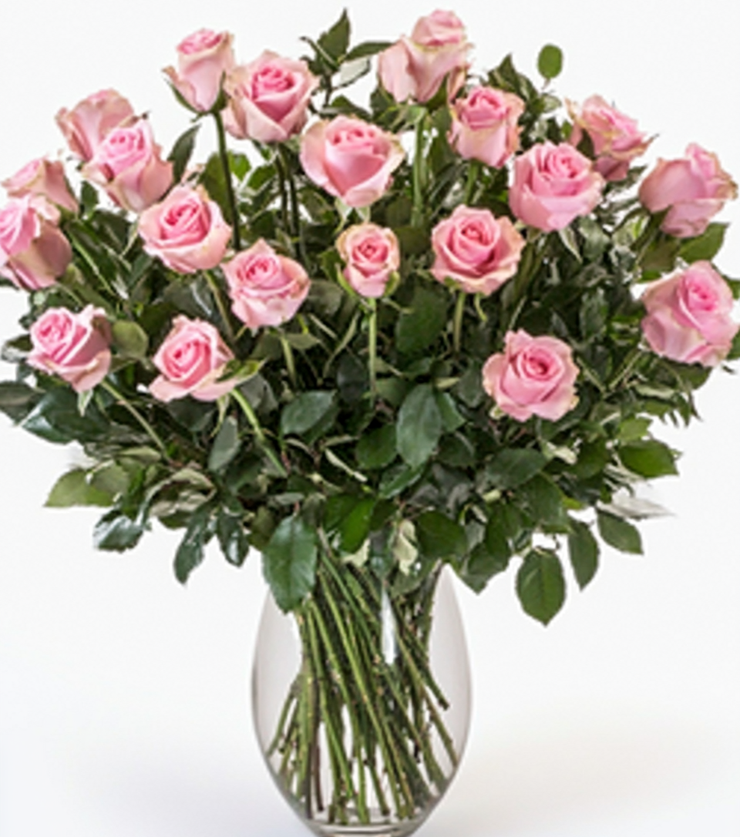 Two Dozen Pink Roses