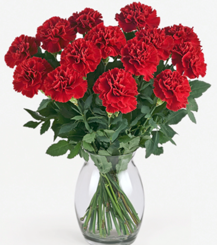 Vibrant Red Carnations