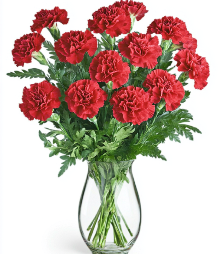 Vibrant Red Carnations