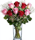Vibrant Roses