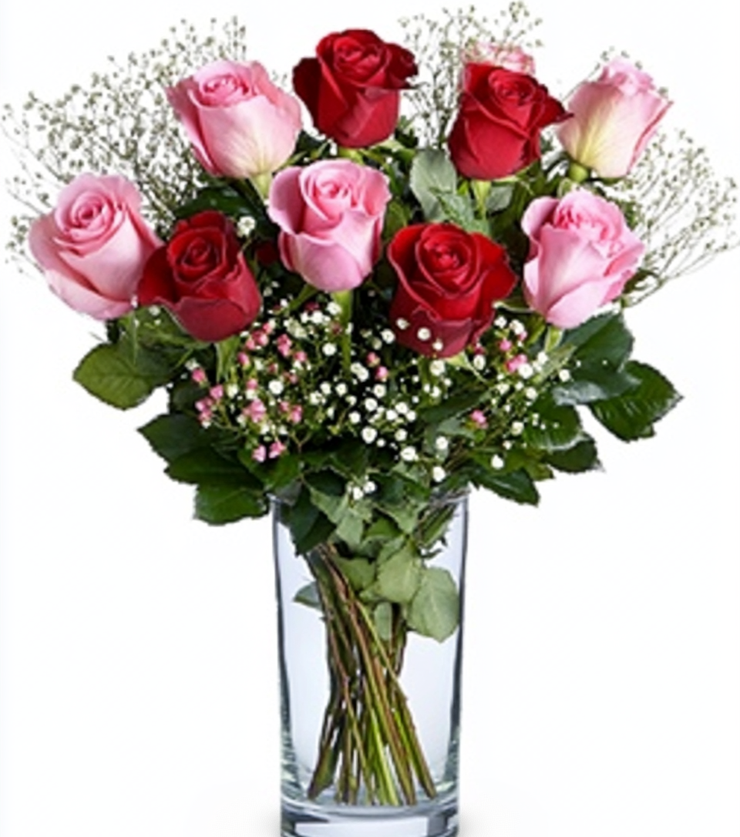 Vibrant Roses