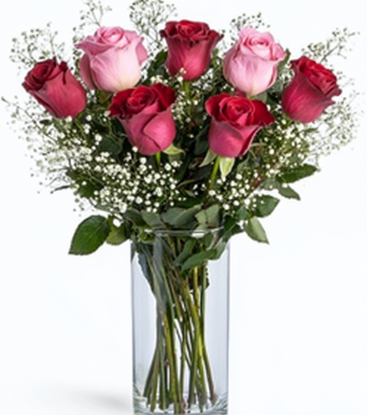Vibrant Roses