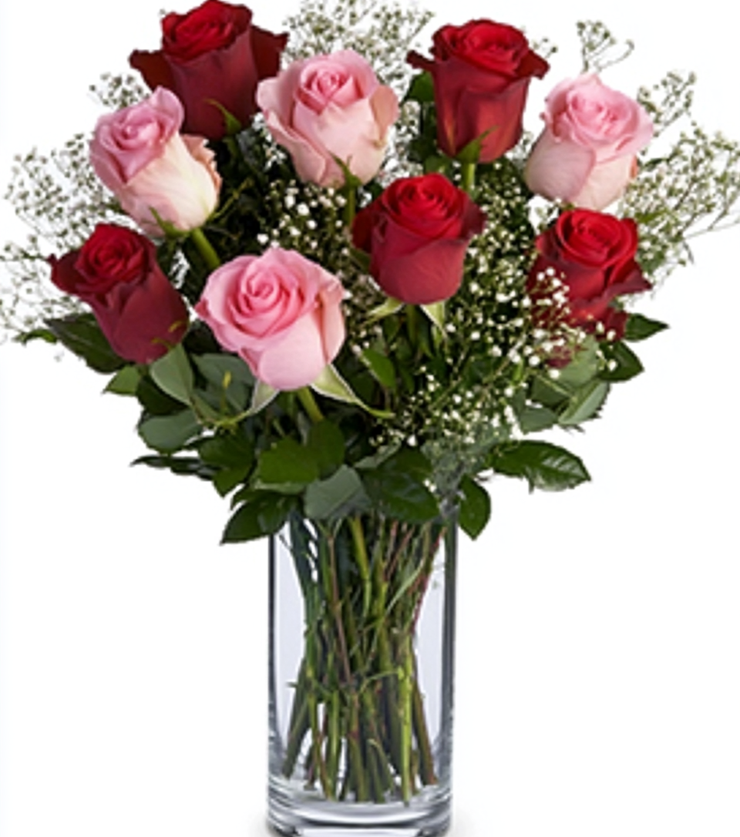 Vibrant Roses
