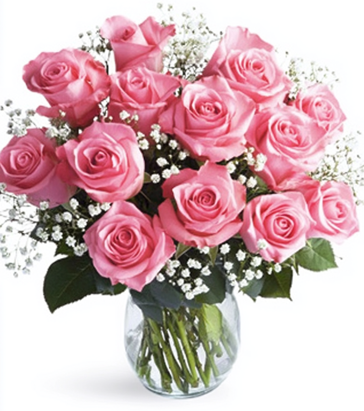 12 Pink Roses