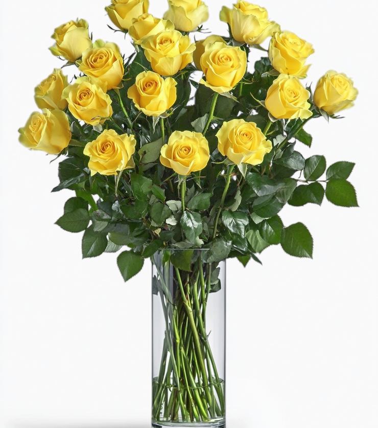 2 Dozen Yellow Roses