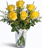 6 Yellow Roses
