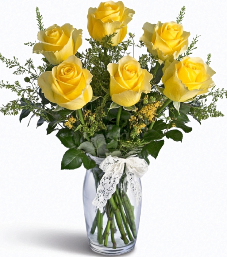 6 Yellow Roses