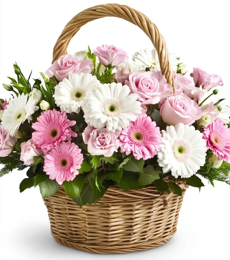 blush and bloom