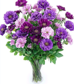Elegance in Bloom