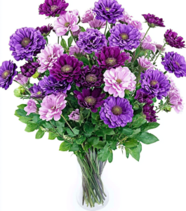 Elegance in Bloom