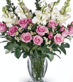 Exotic Blooms