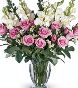 Exotic Blooms