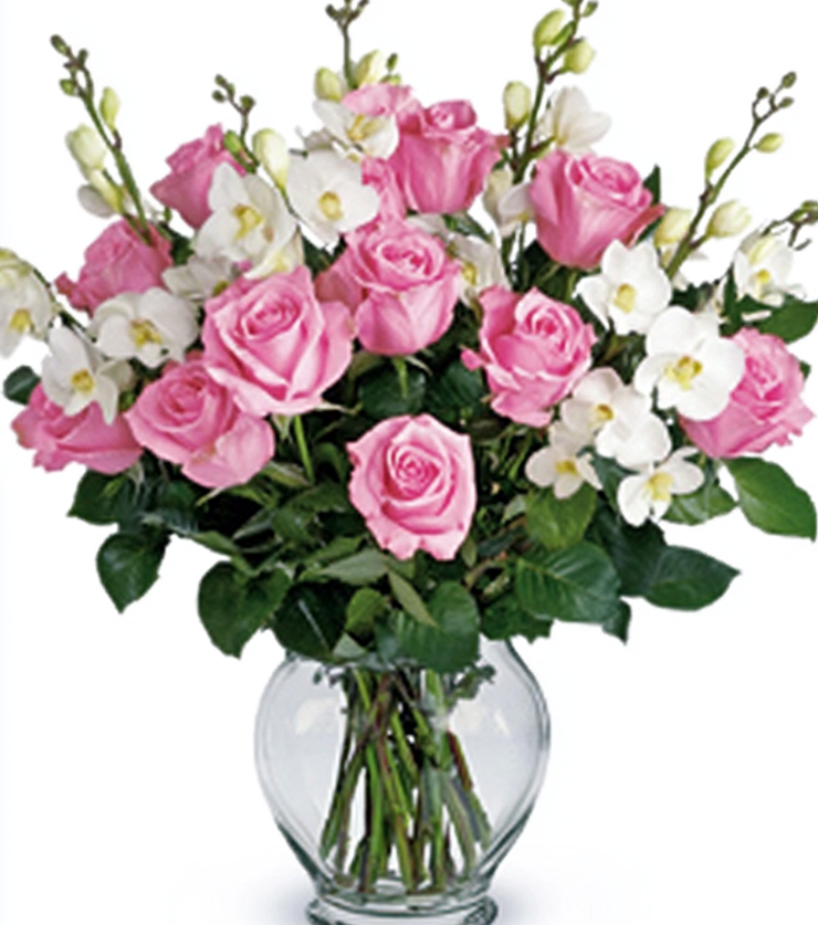 Exotic Blooms