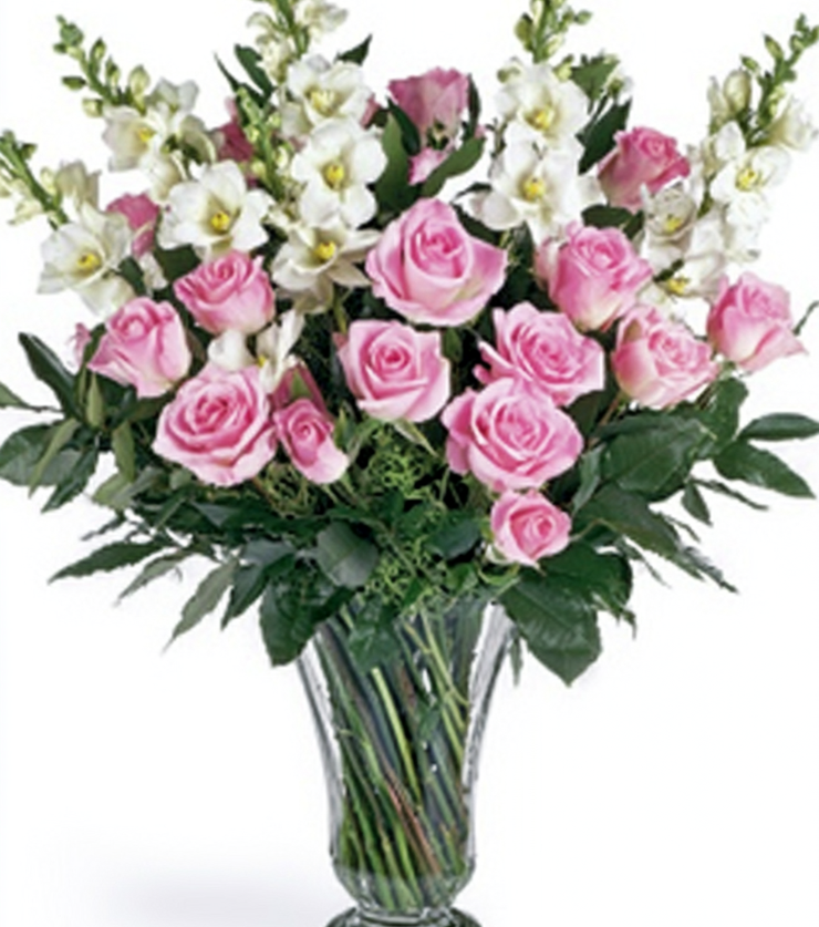 Exotic Blooms