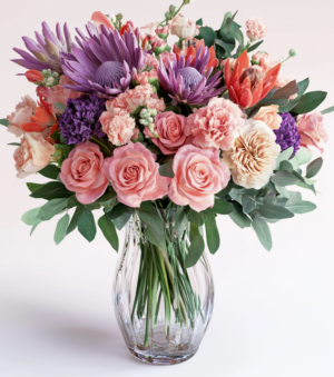 Freesia Dreams