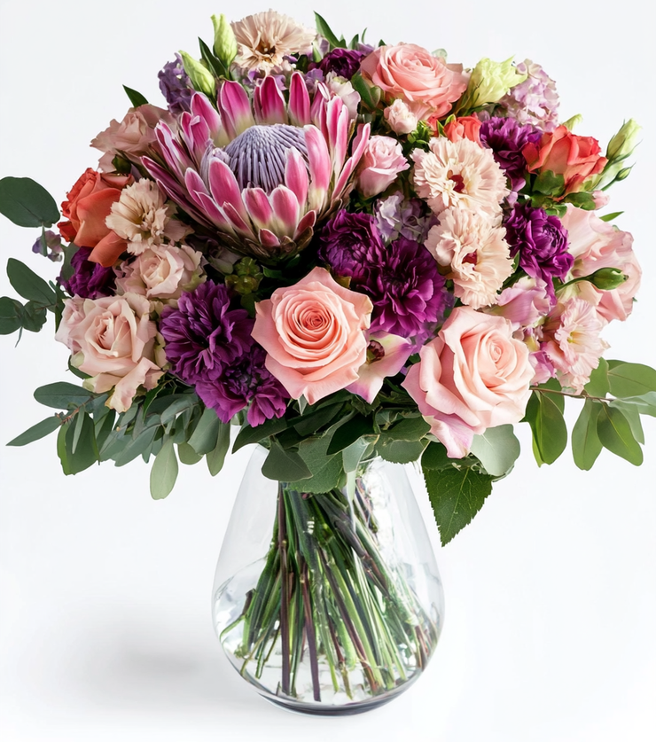 Freesia Dreams