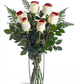 Half Dozen White Roses